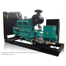 Cummins Erdgas-Aggregat (33kVA-1650kVA)